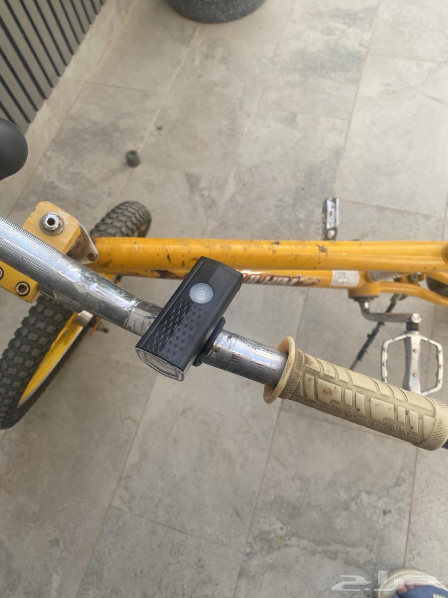 Cobra Cycle630713085733141110
