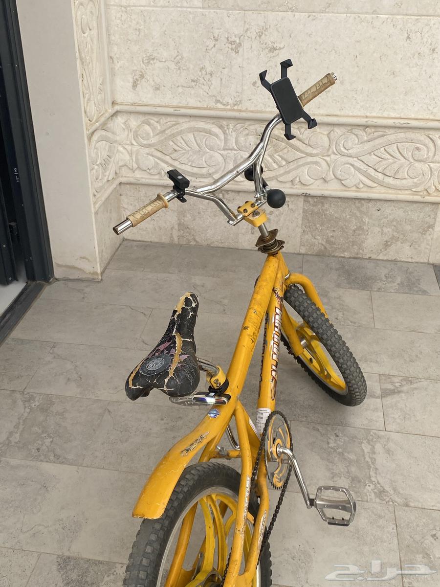Cobra Cycle63071308573314114