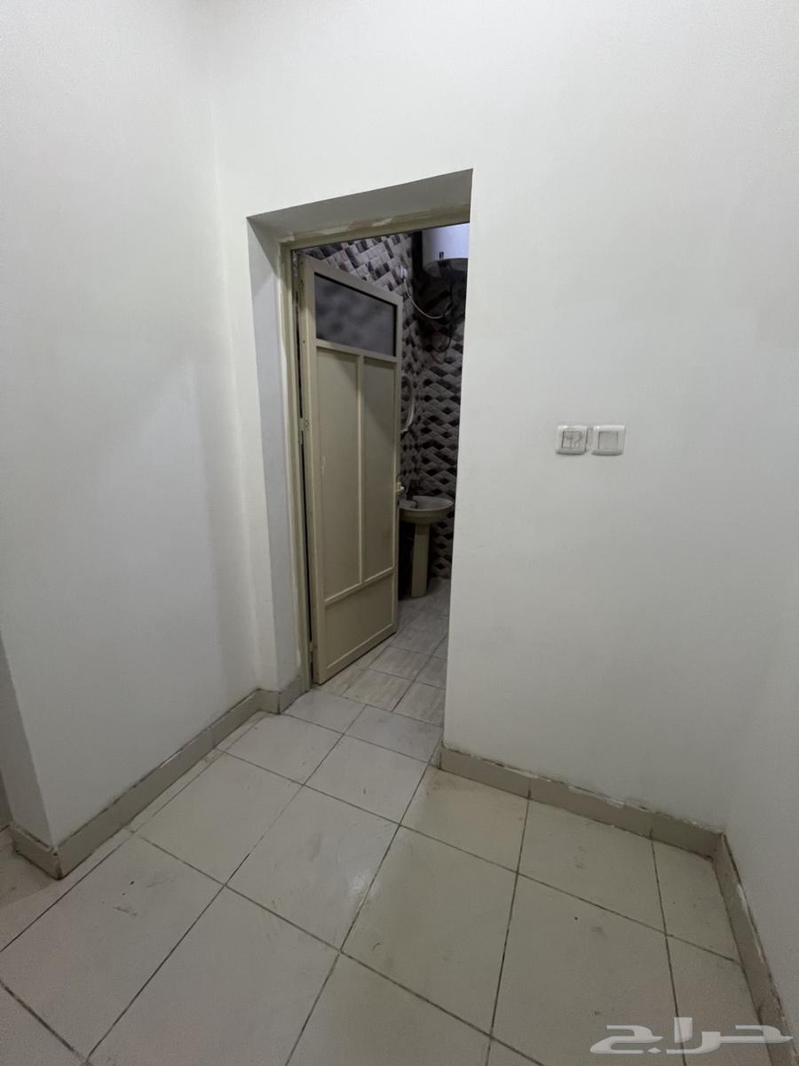 Bachelor apartment in Al-Fursan district63010917064961114