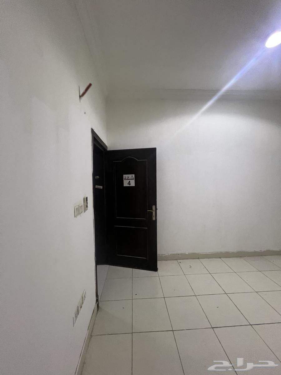Bachelor apartment in Al-Fursan district63010917064961112