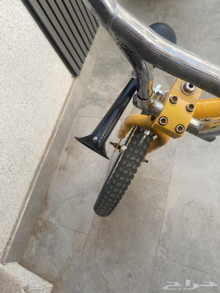Cobra Cycle63071308573314112