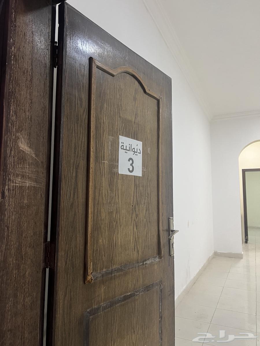 Bachelor apartment in Al-Fursan district63010917064961113