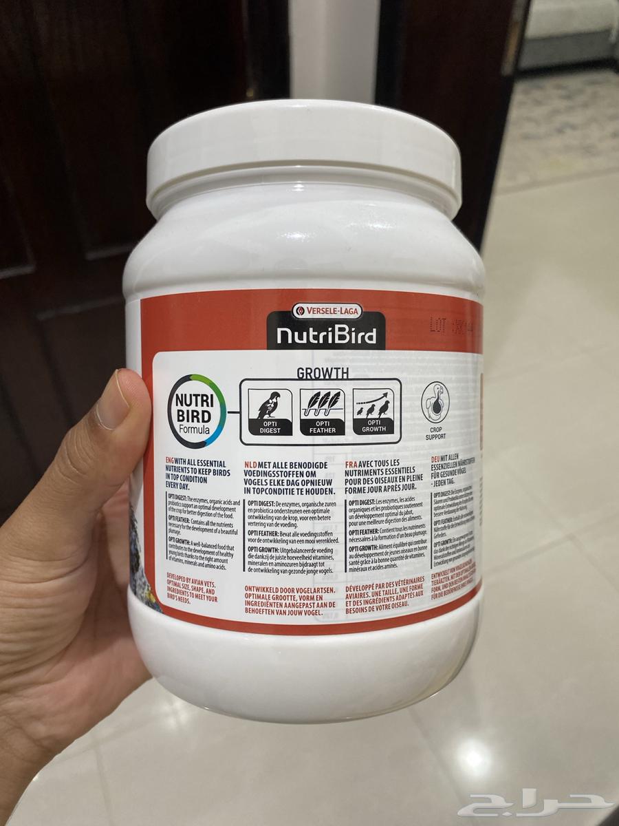 اكل فروخ غرر63070514302211112