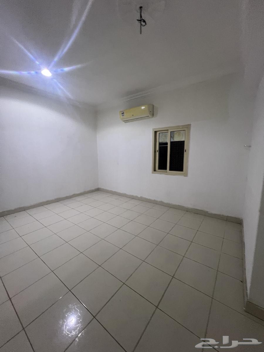 Bachelor apartment in Al-Fursan district63010917064961111