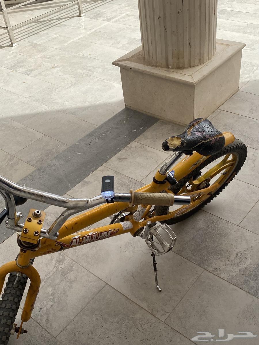 Cobra Cycle63071308573314113