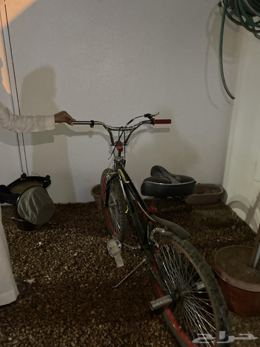 Cobra bicycle for sale size 24, reason for sale is that it has full cover and wraps.63070497372162111