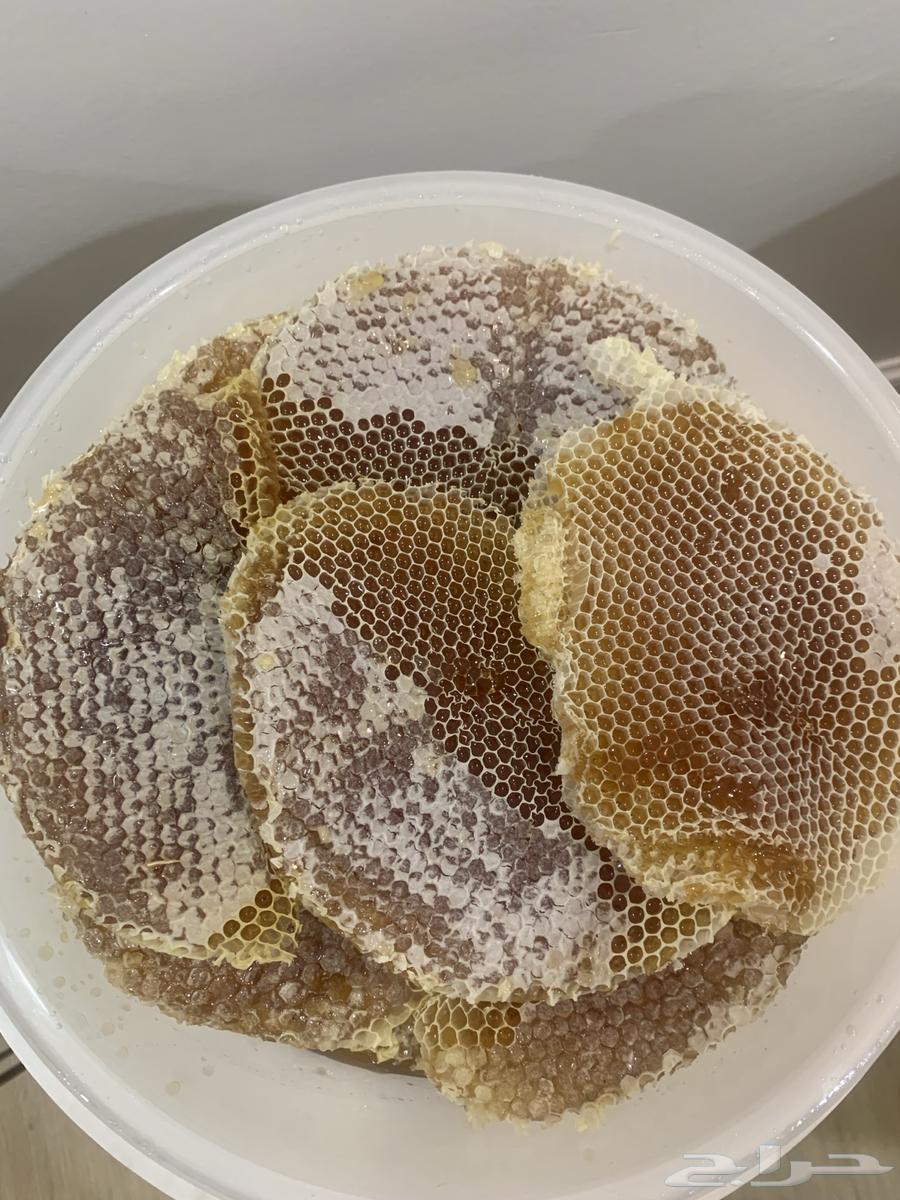 Raw honey from Ma'ay, guaranteed production of the men of Ma'ay 1446 AH63073357117825119