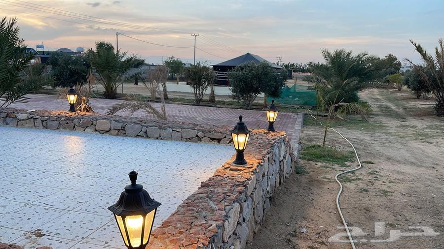 استراحة داخل مزرعة للايجار اليومي62930667538051111