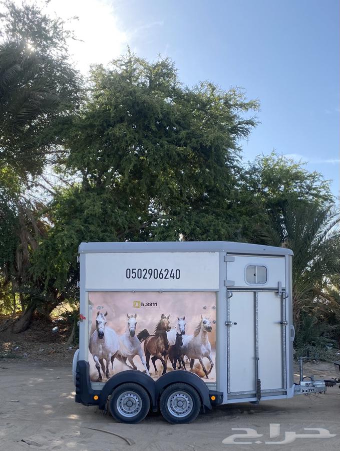 عربة نقل خيل نجران63072503904899112