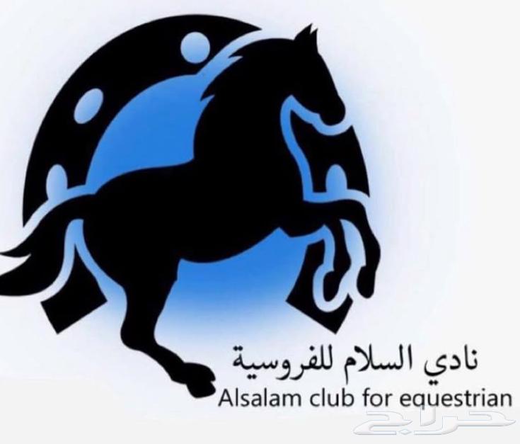Subscription to Al-Salam Equestrian Club63470200192002113