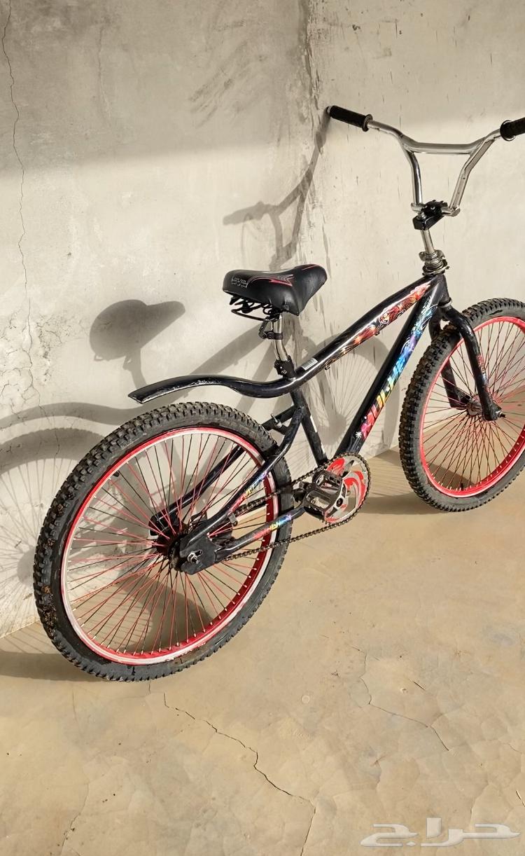 Cobra Cycle63070908699394111