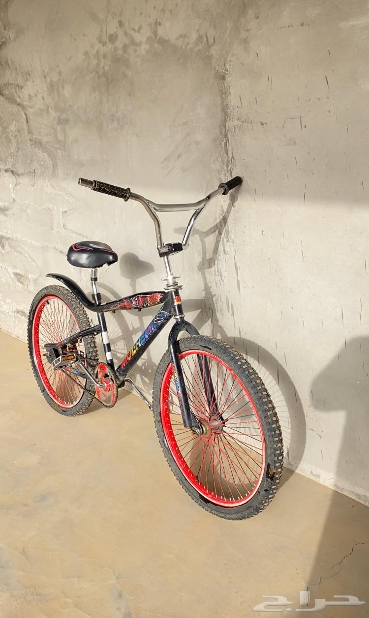 Cobra Cycle63070908699394112