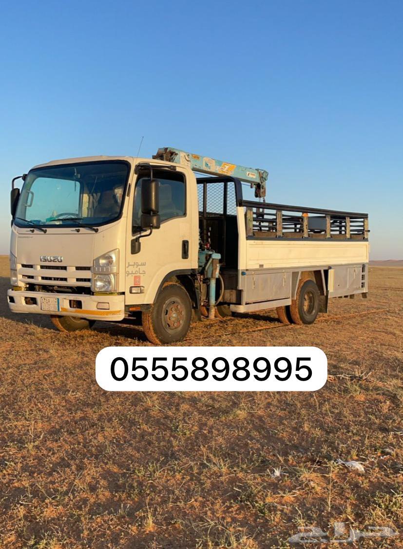Dina transported the camels and fixed goods. The thermos was a solution for the mess.630109346428191117