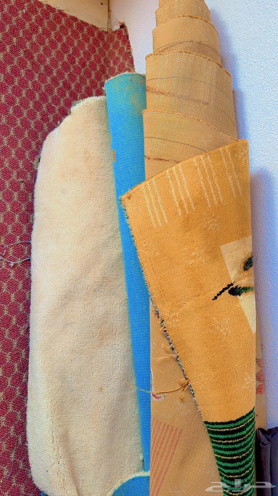 New user brush, two brushes suitable for the courtyard or outings ..630692524605461122