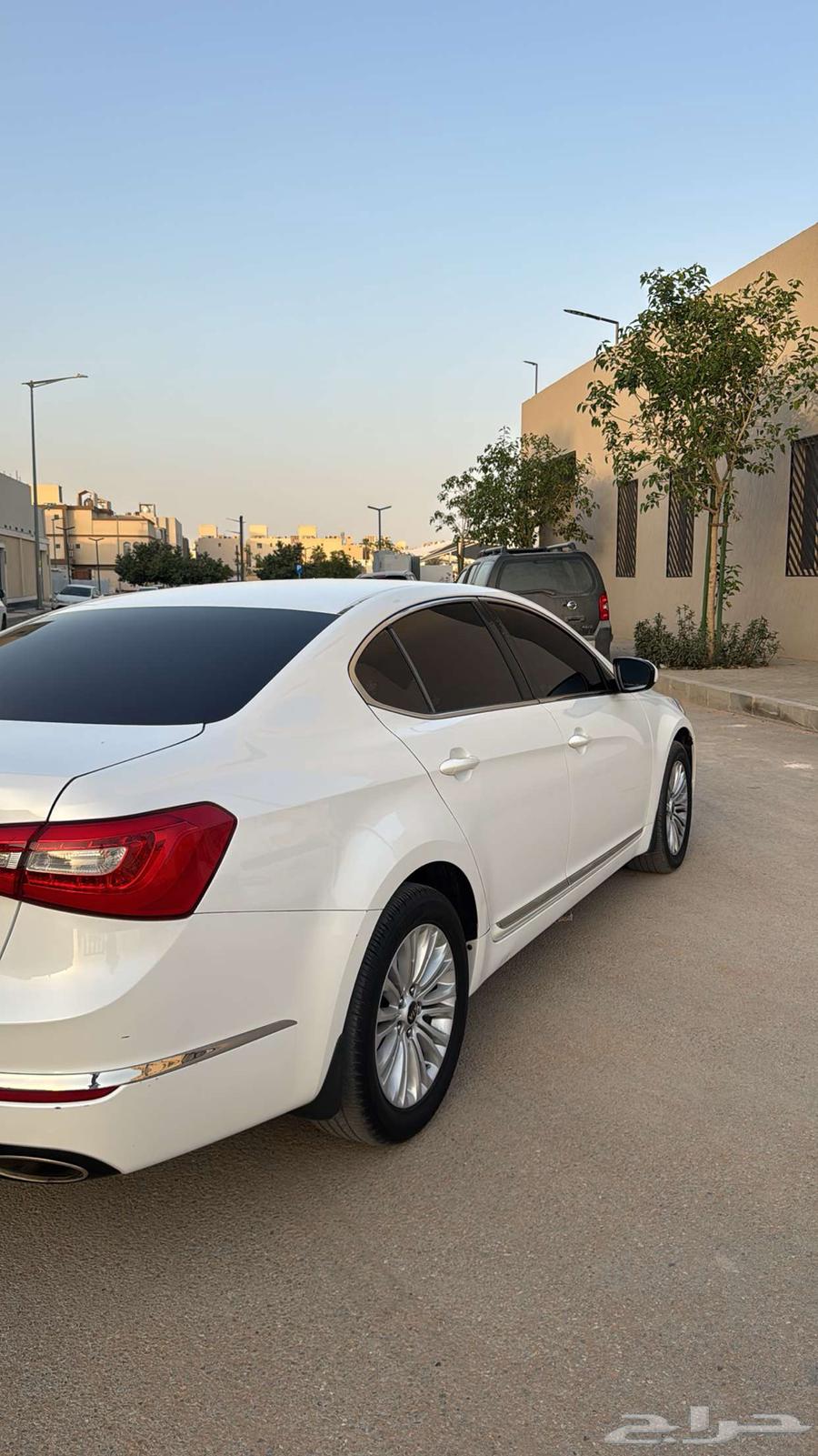 Cadenza 1663102537248258114