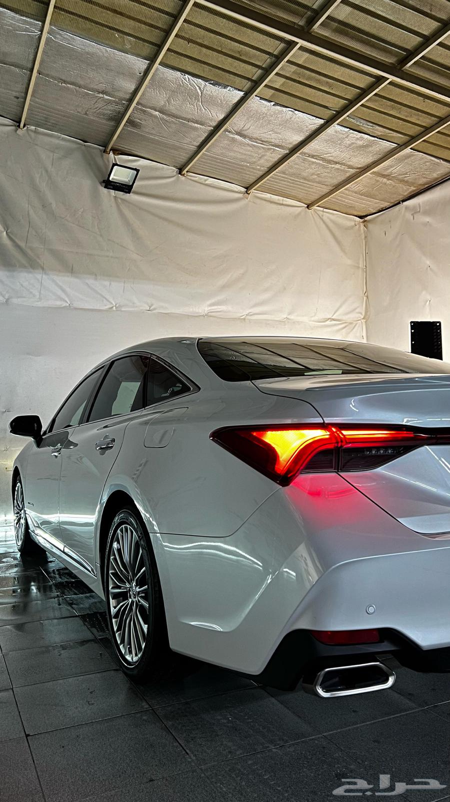 Avalon 2022 Premium63101803549058111