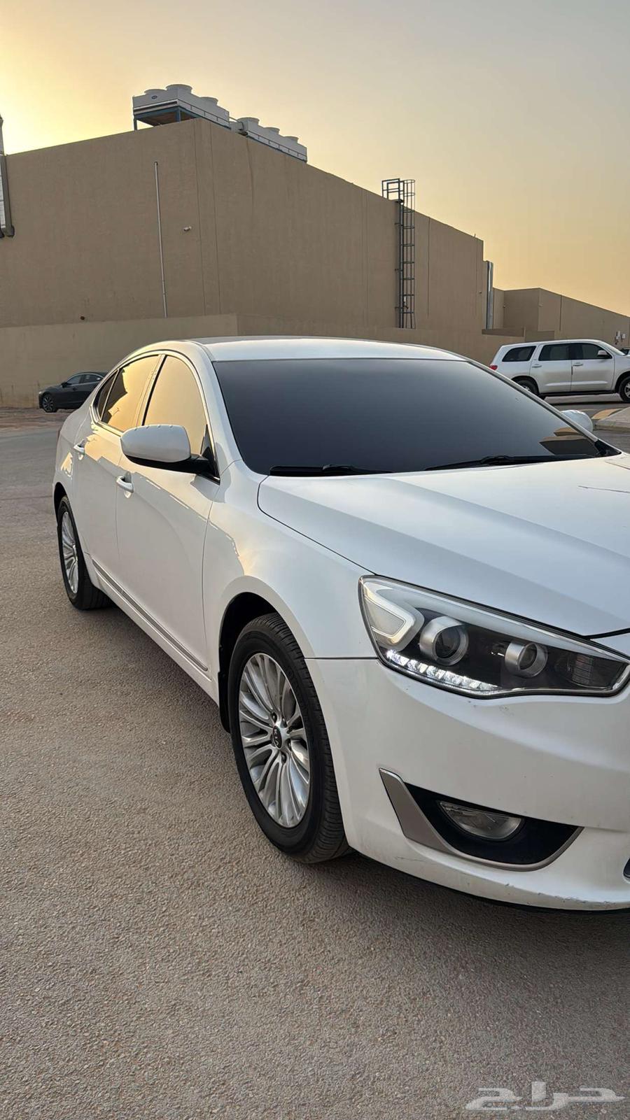 Cadenza 1663102537248258113