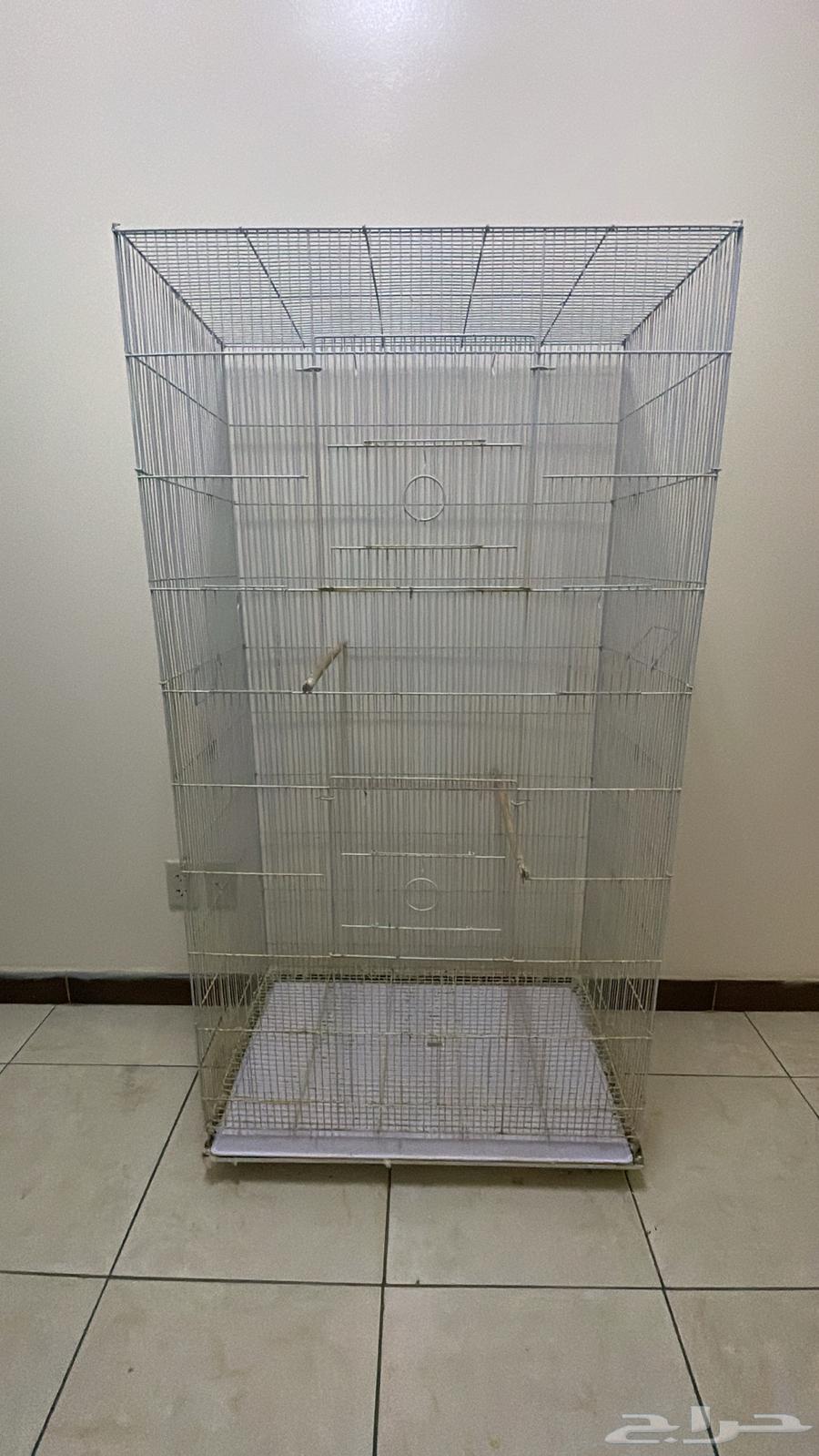 Big indoor bird sold - very clean63069670176130111
