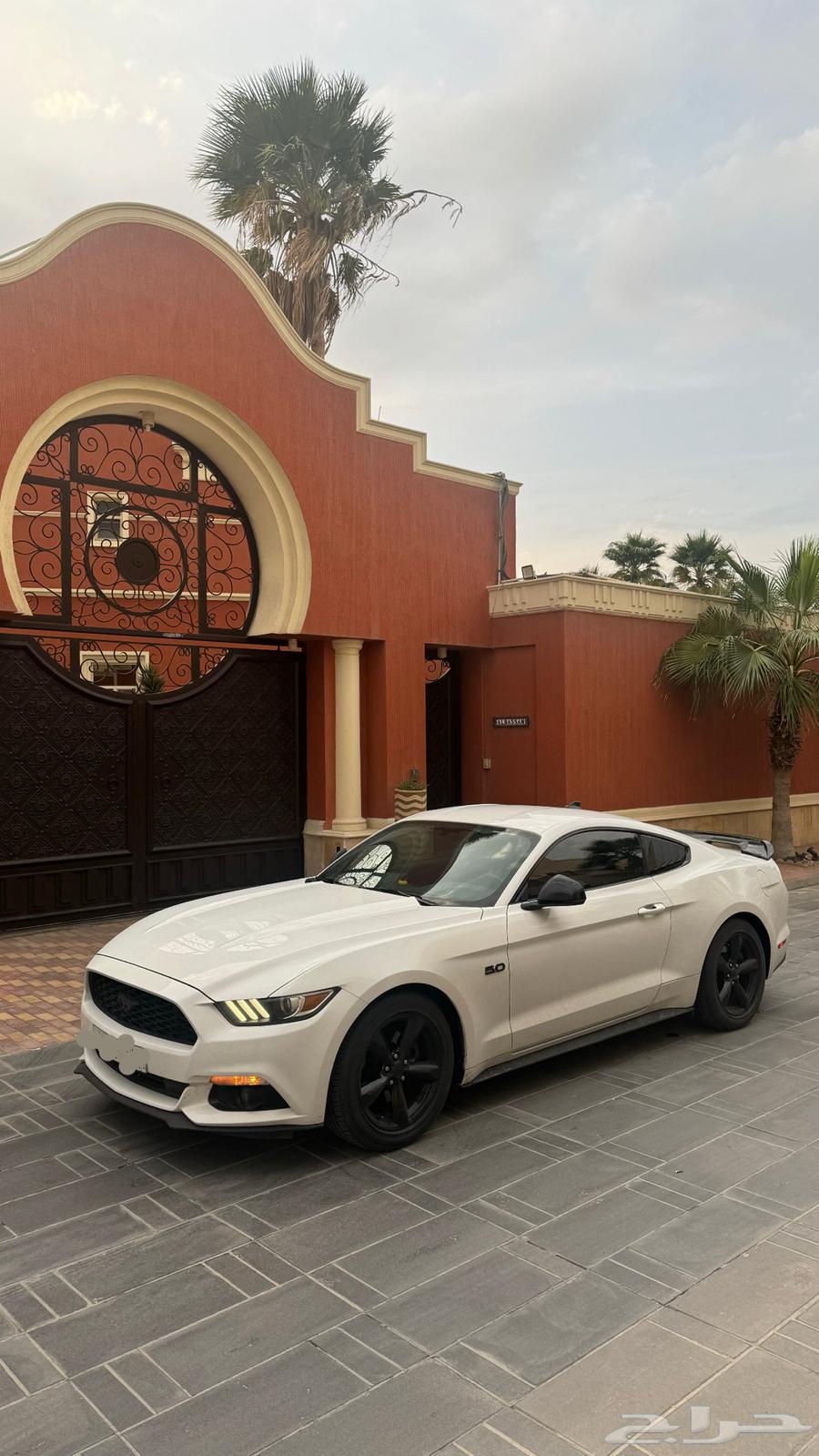 Ford Mustang Mach 163104796196098111