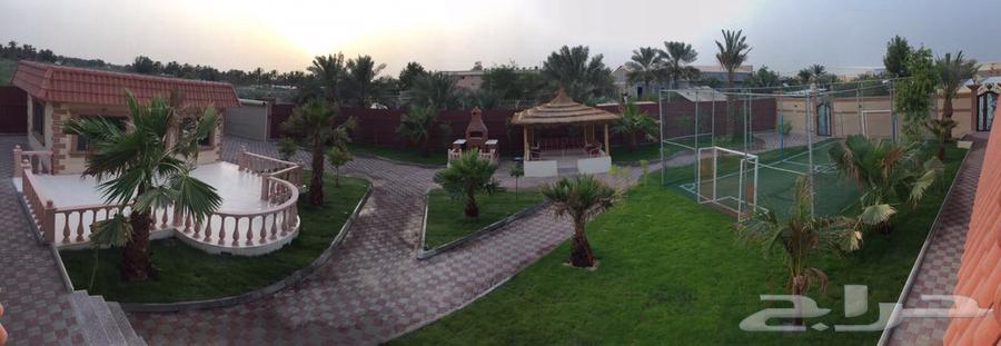 Rest House and Al-Reef Resort - Aynak City62931702122242111