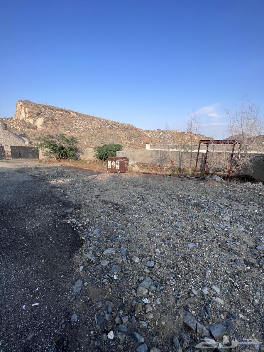 حوش مريخ62930668759298111