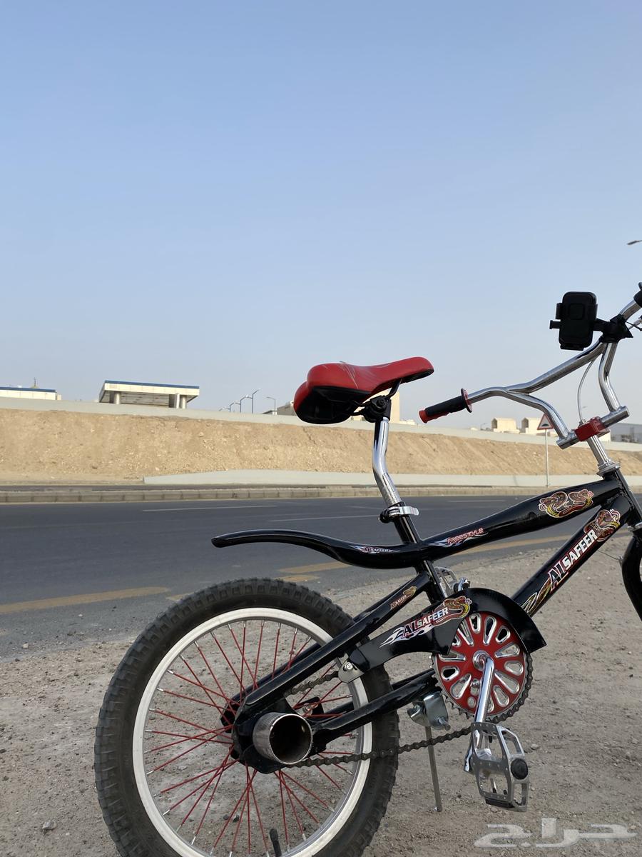 سيكل كوبرا مقاس 1663068398099714113