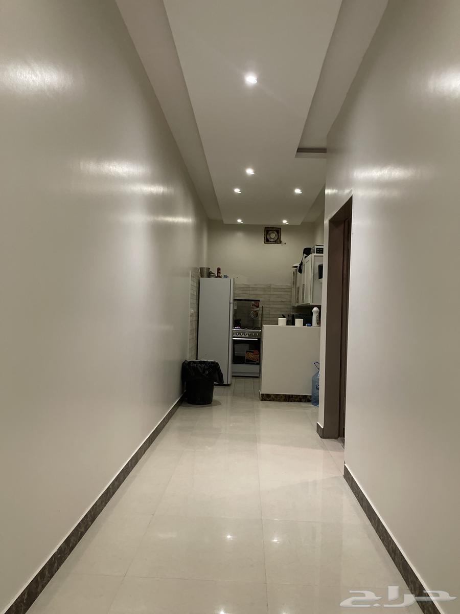 للايجار الشهري استراحة عائلات موثثه مدخل سياره63010615731586113