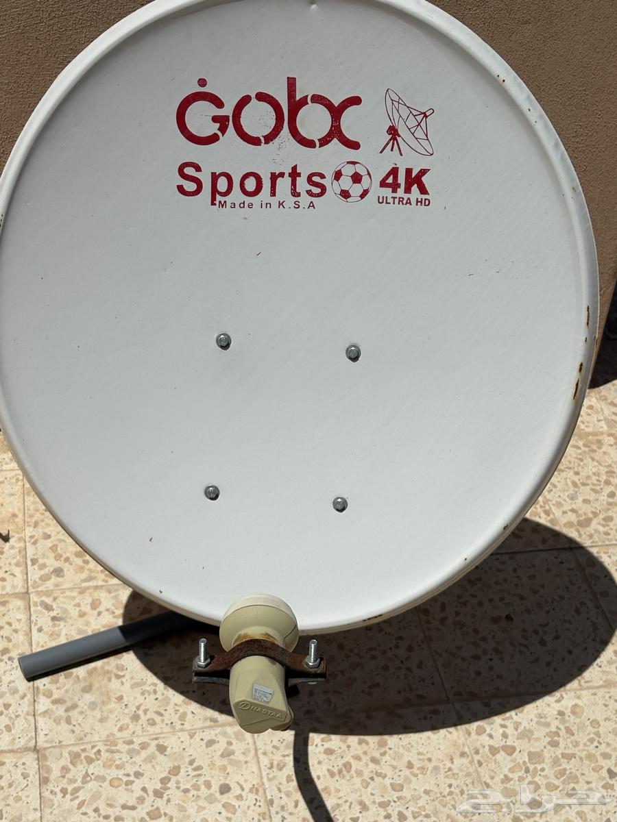 Satellite TV (dish)63069670311299115