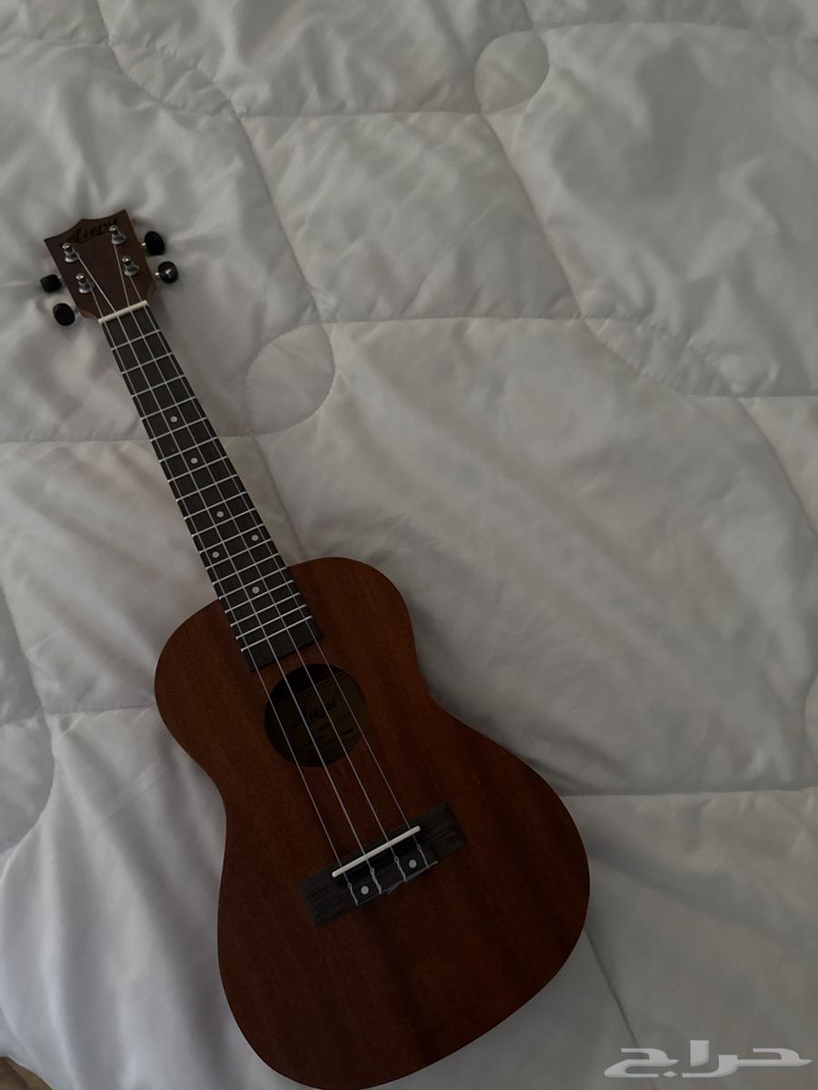 Acoustic guitar uses nylon strings63070109993219111