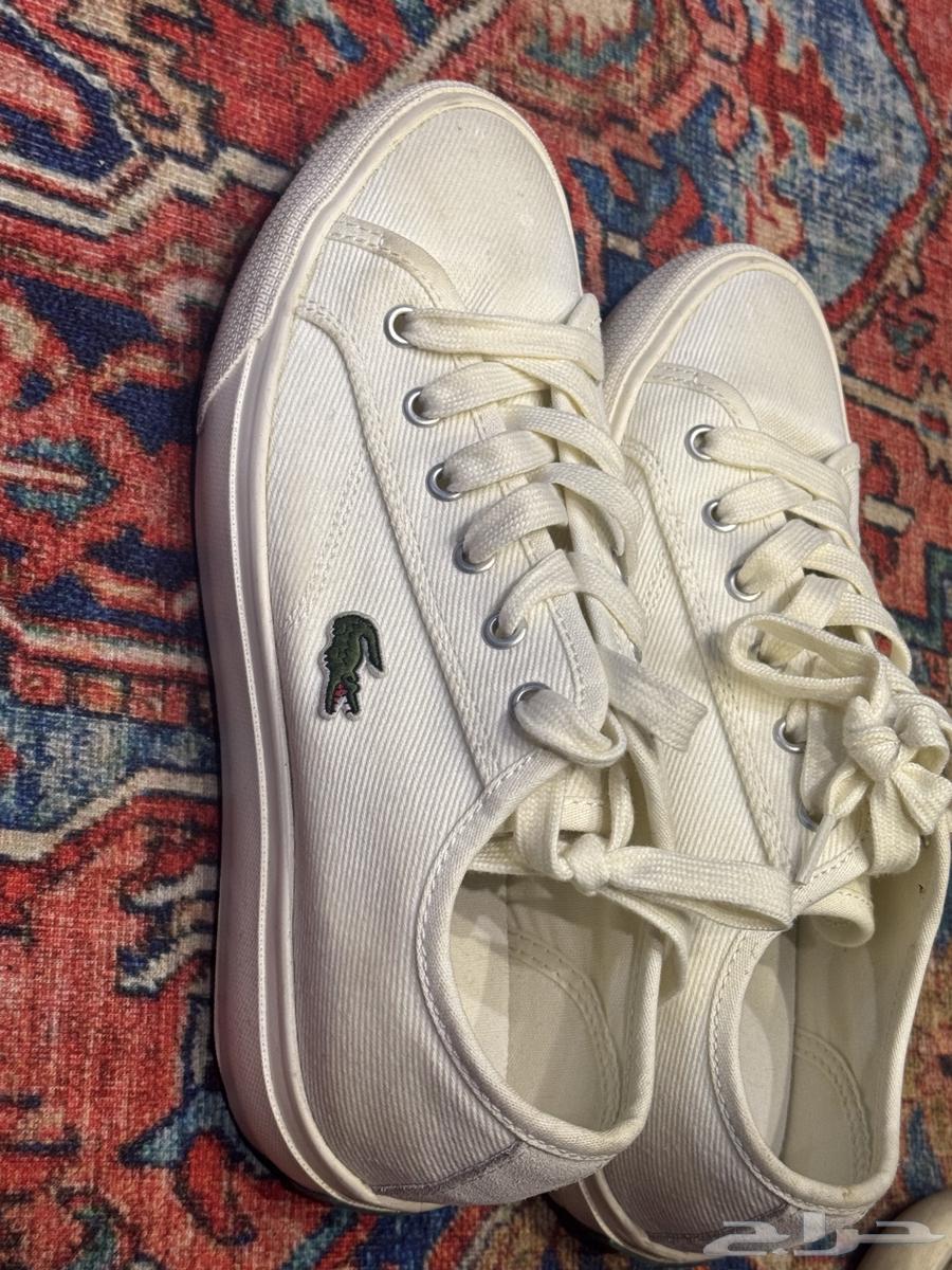 lacoste shoes original size 3963068789977474112