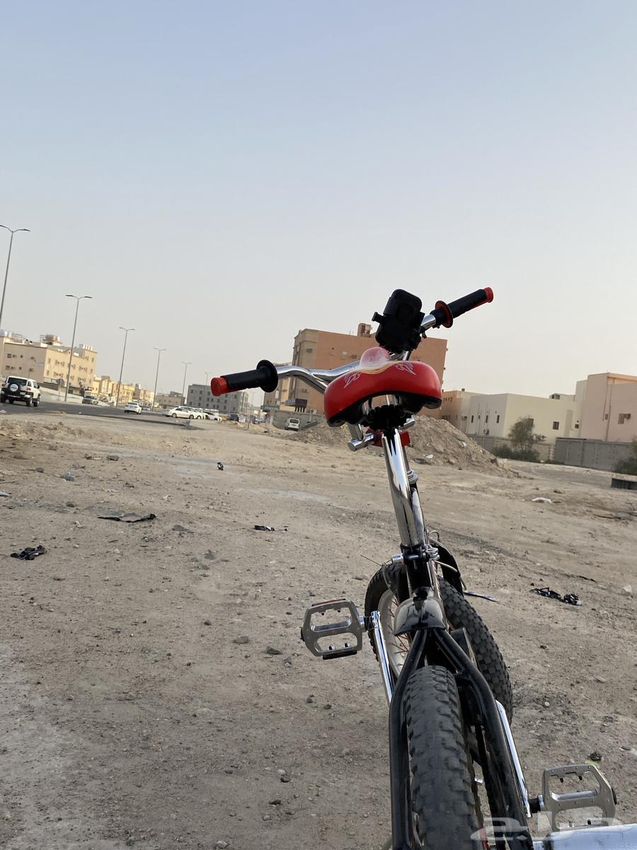 سيكل كوبرا مقاس 1663068398099714112