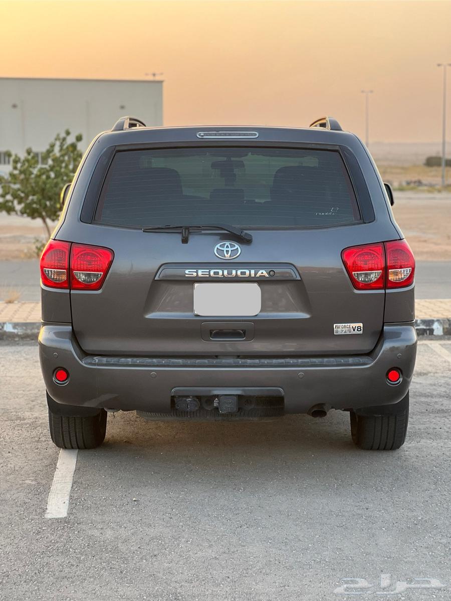سيكويا دبل 201463102554511745113