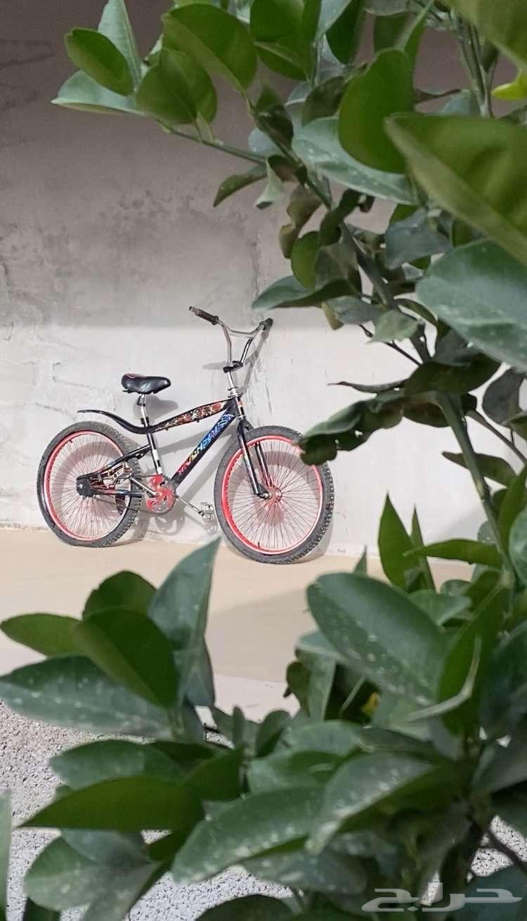 Cobra bicycle 24 inches630701208729631112