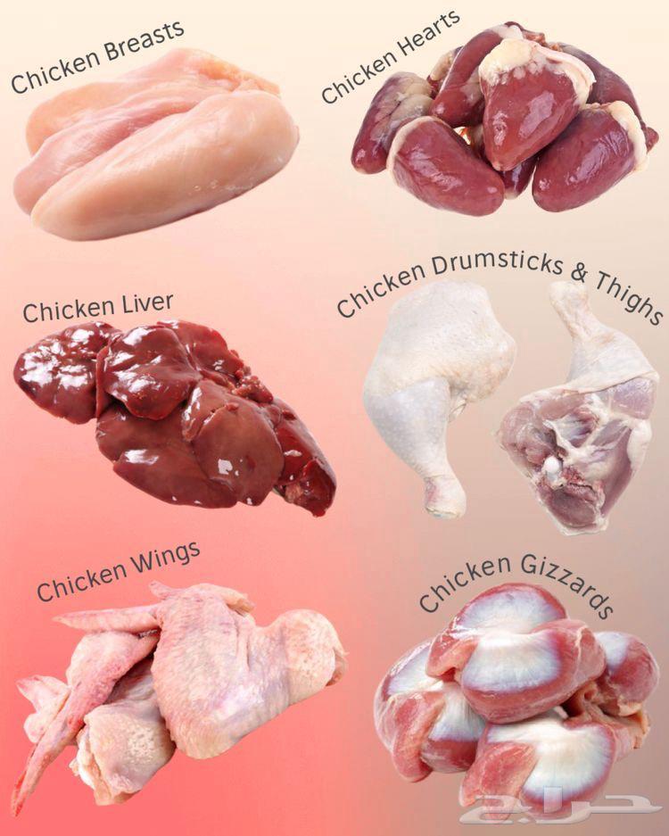 Chicken is food for dogs and carnivorous animals63068382608899111