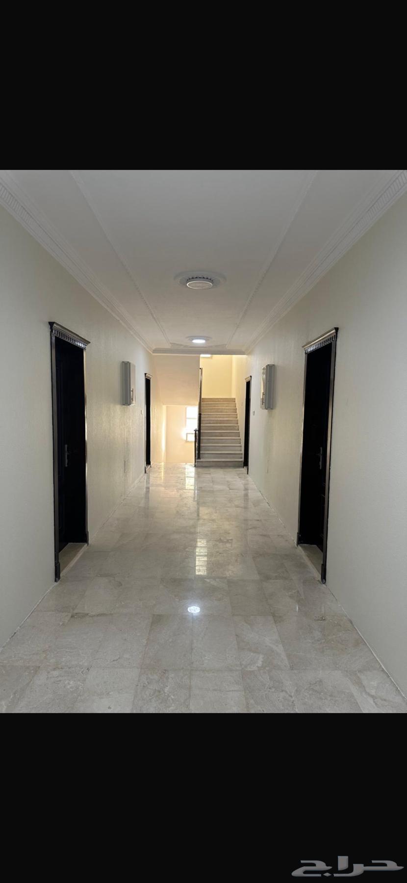 شقه عزاب للإيجار63011209106946112