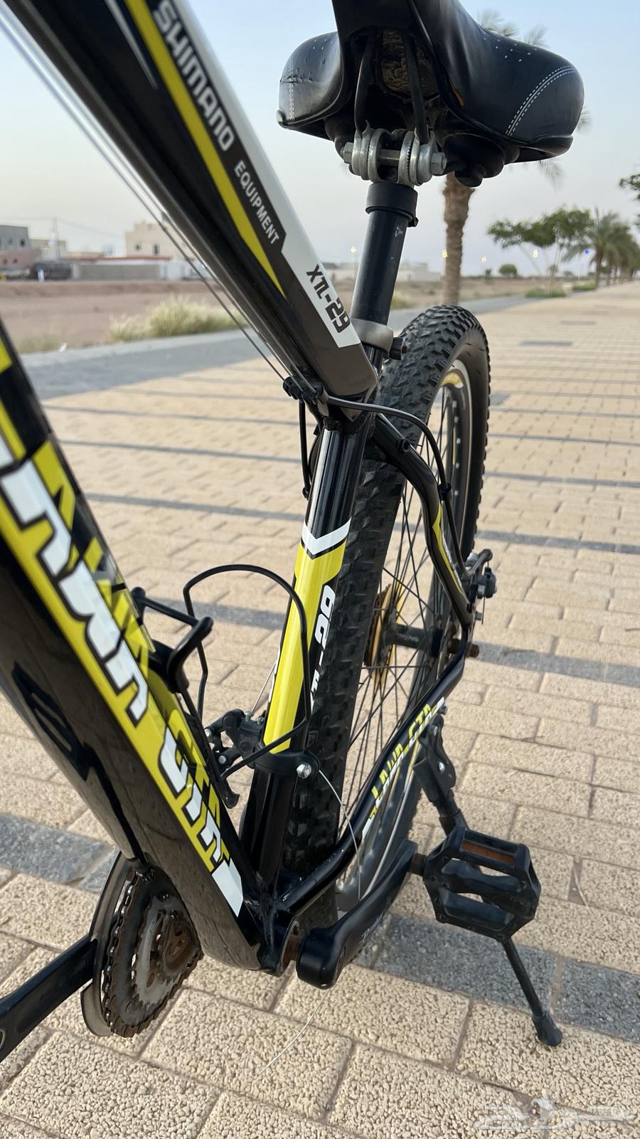 Bicycle (cycle), size 29 (sold)63052843329025111