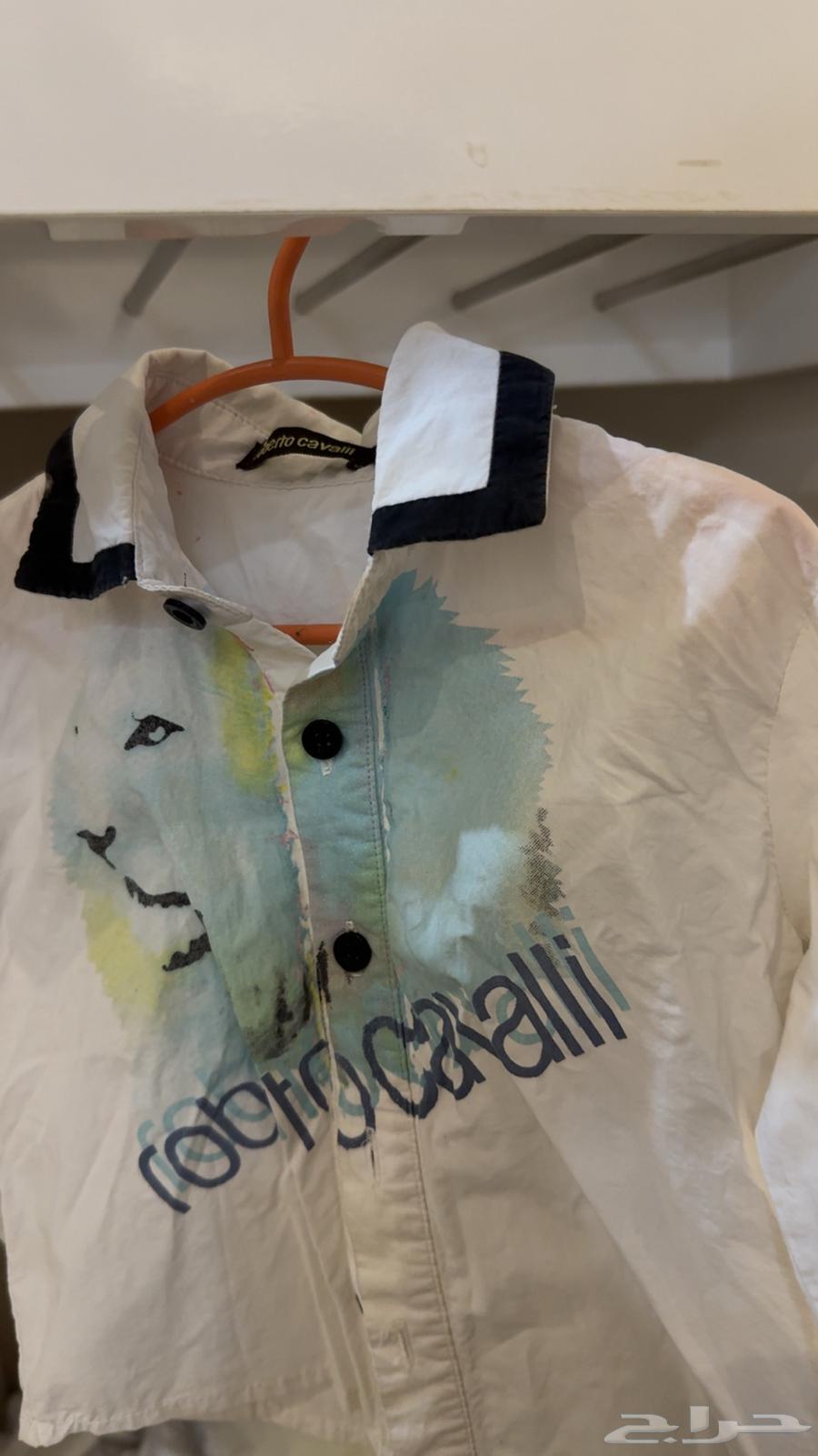 Blue jeans Roberto Cavalli63066377204867111