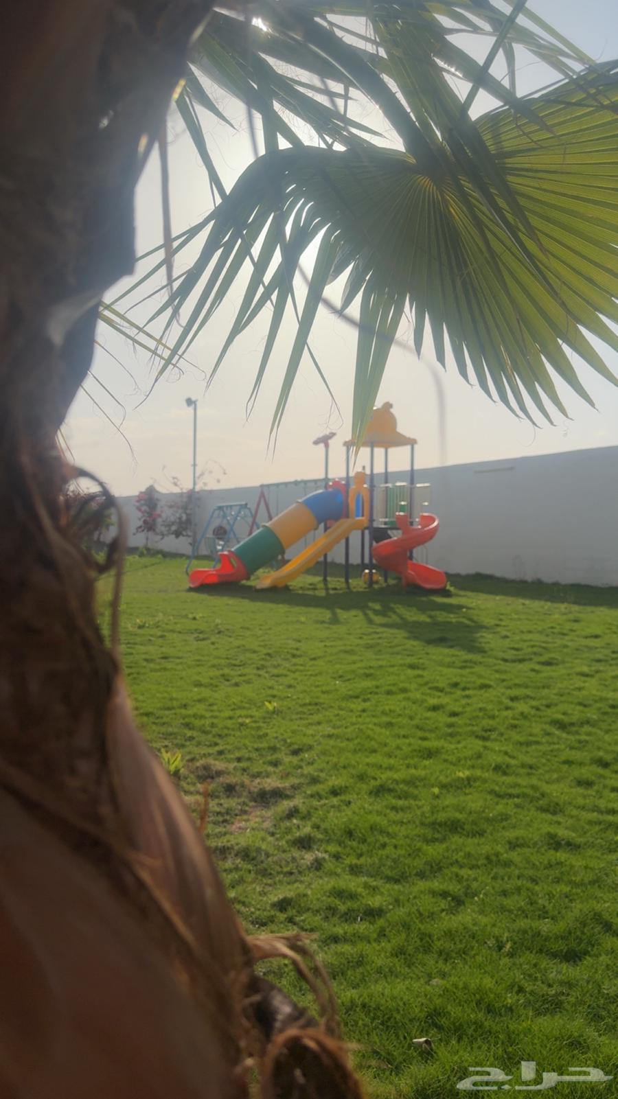 Today's rent is a resort in Al-Qaid Ha'il.62884657006081111