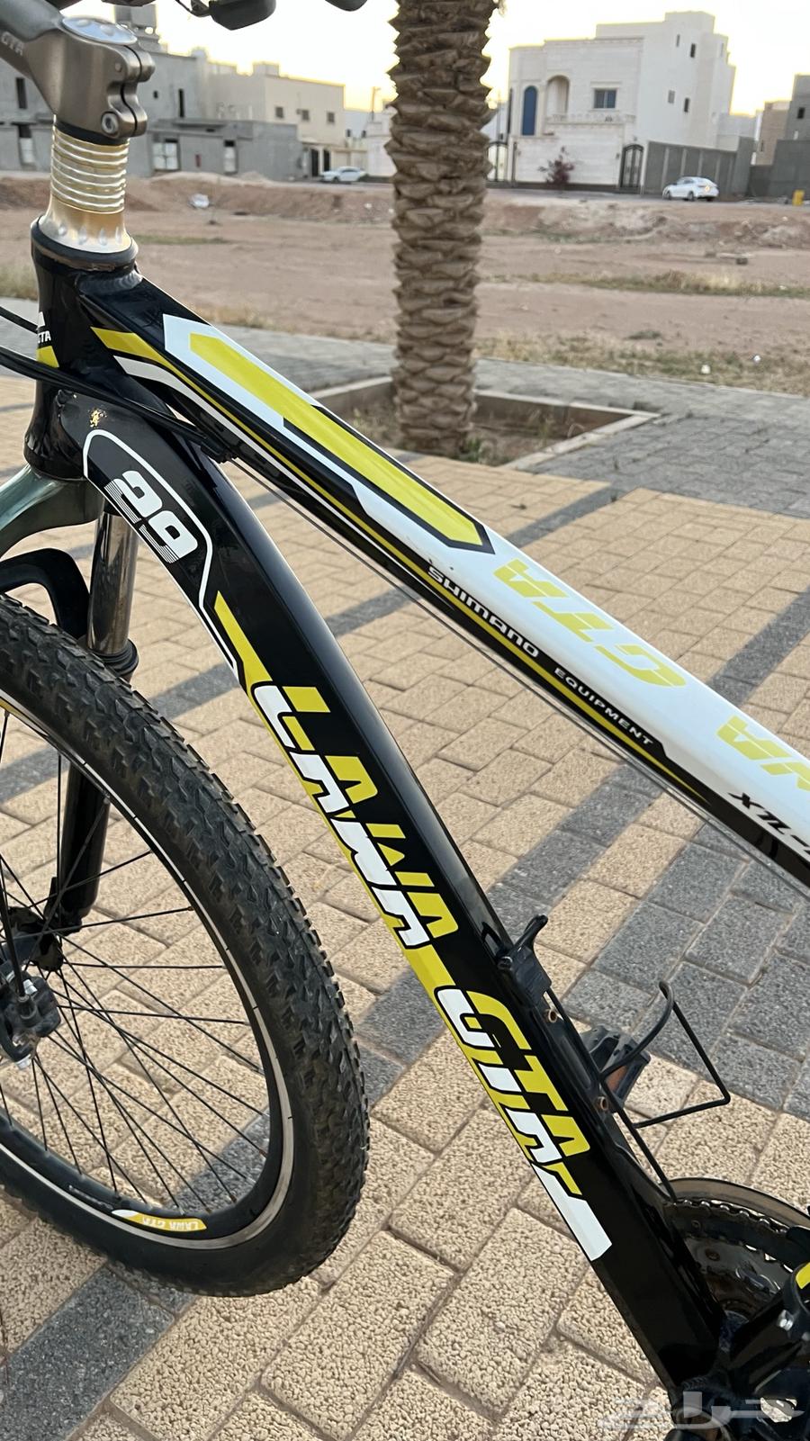 Bicycle (cycle), size 29 (sold)63052843329025113