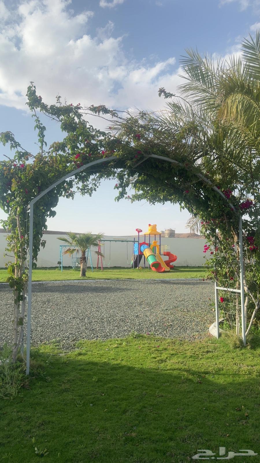Today's rent is a resort in Al-Qaid Ha'il.62884657006081114
