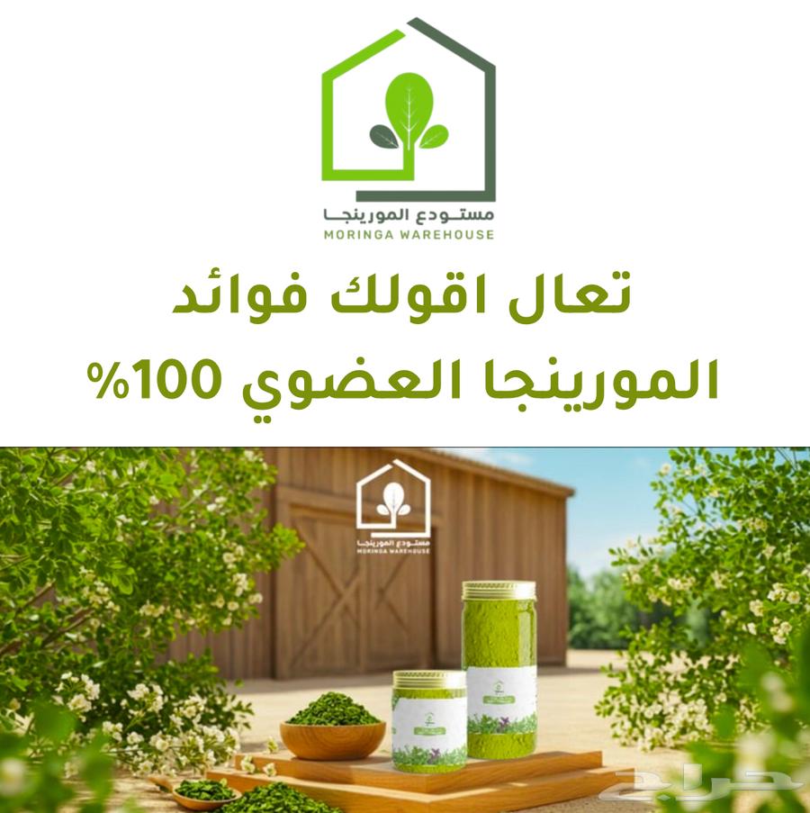 Moringa 100% Organic Natural with Numerous Benefits .. and Free Shipping630667969875221128