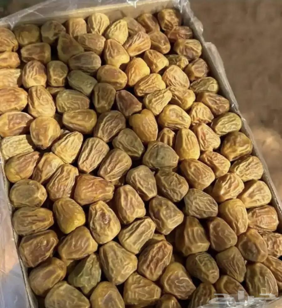 تمر سكري مفتل63067183625729110