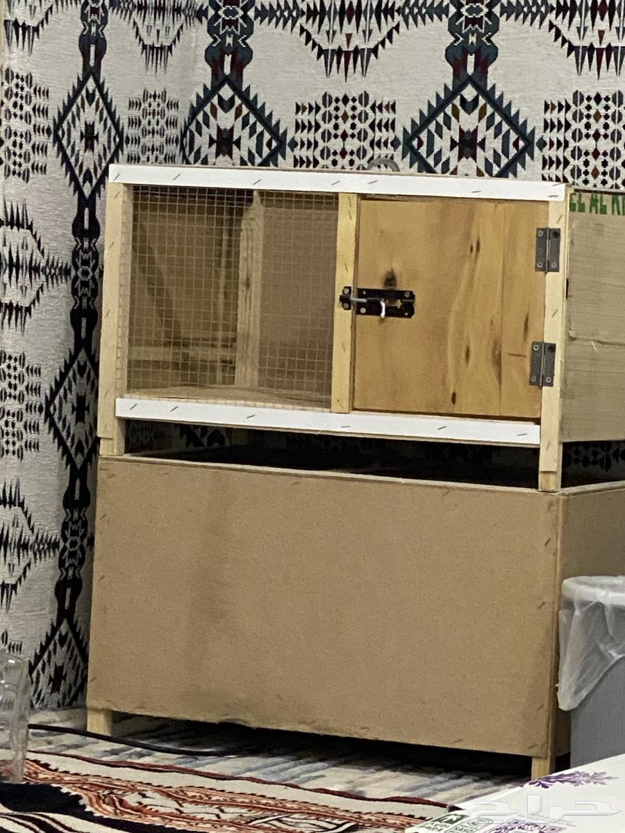 Shubak for chicks and pigeons shelves630165270028831121