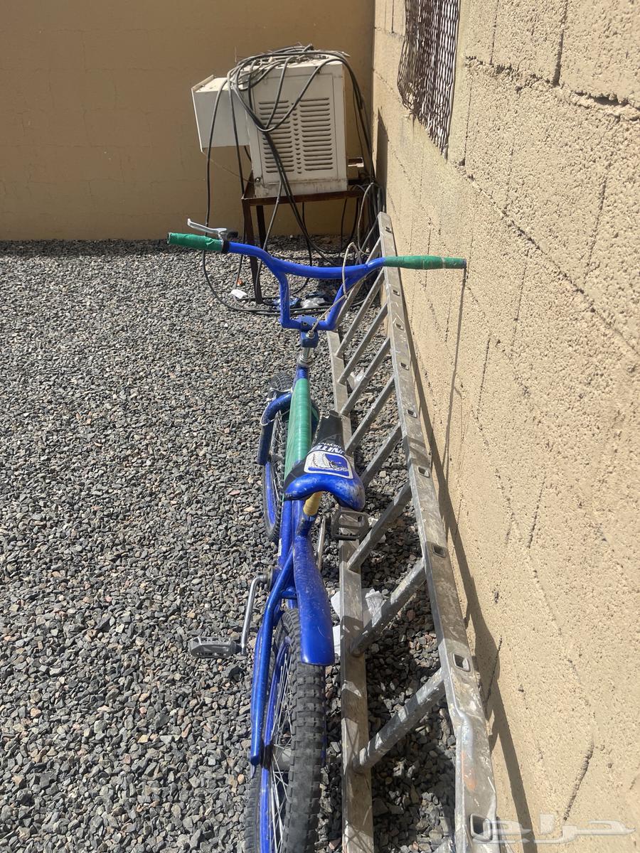 Zinc bicycle size 2063066376994434111