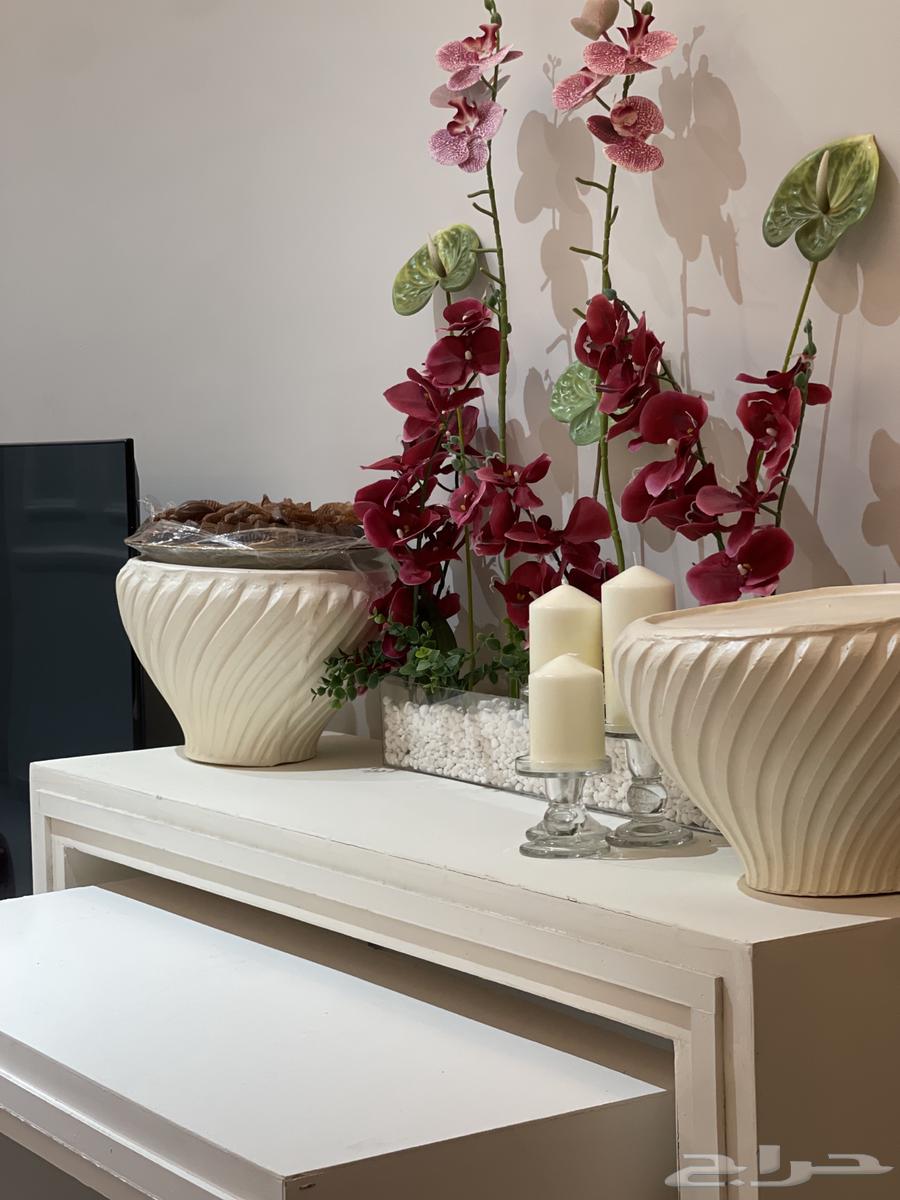 ركن استقبال استاجر اسبوع 350 استاجر اسبوعين 50063470266364546113