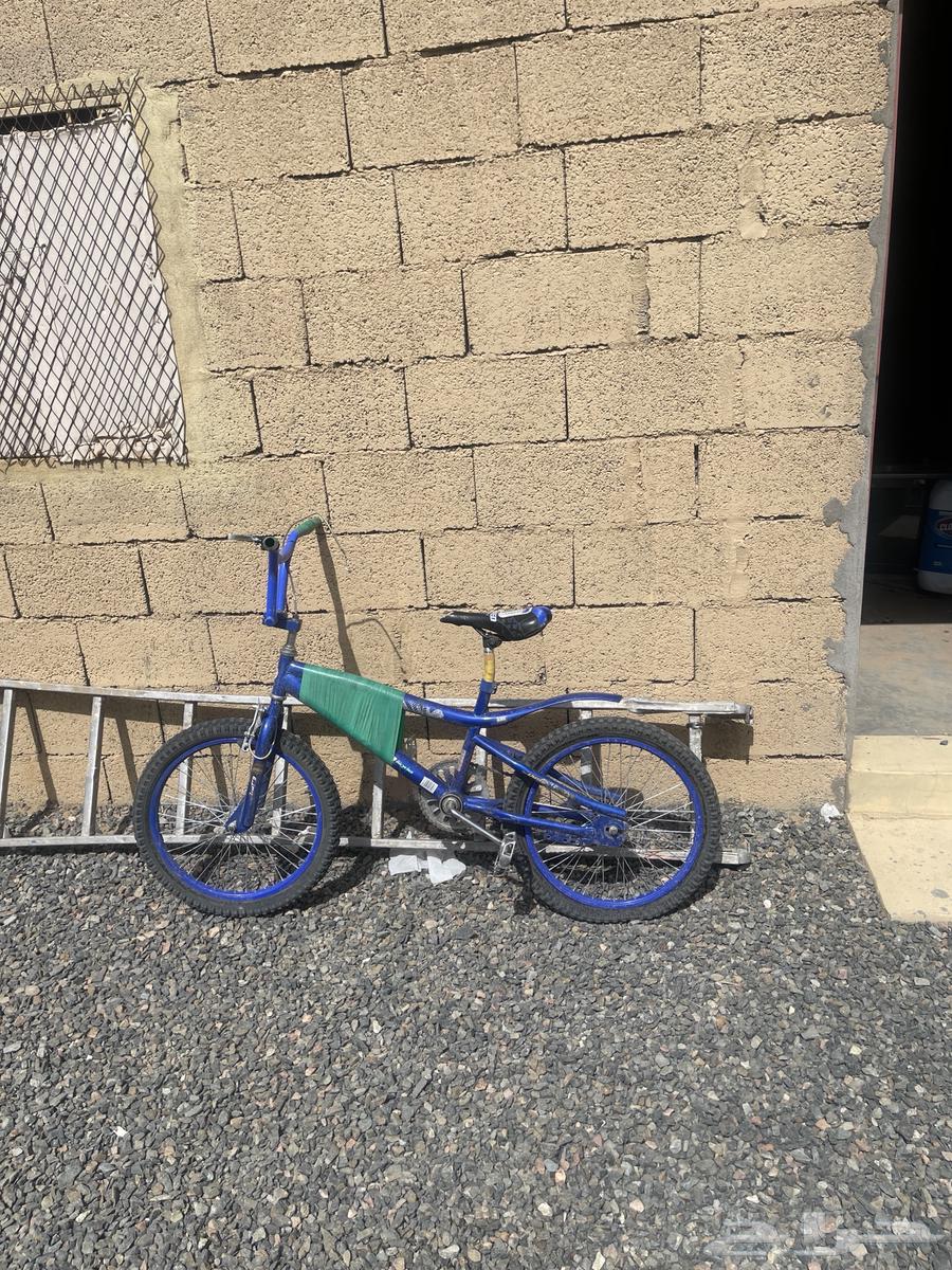 Zinc bicycle size 2063066376994434112