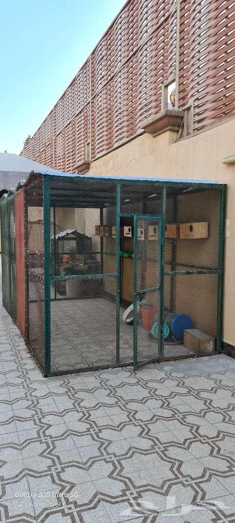 Bird cage630648098542091124
