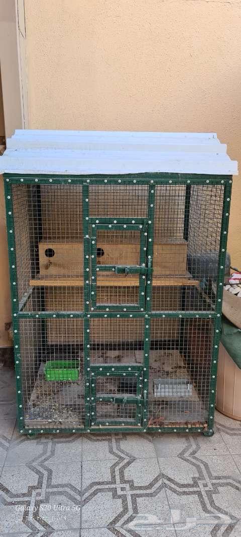Bird cage63064809854209114