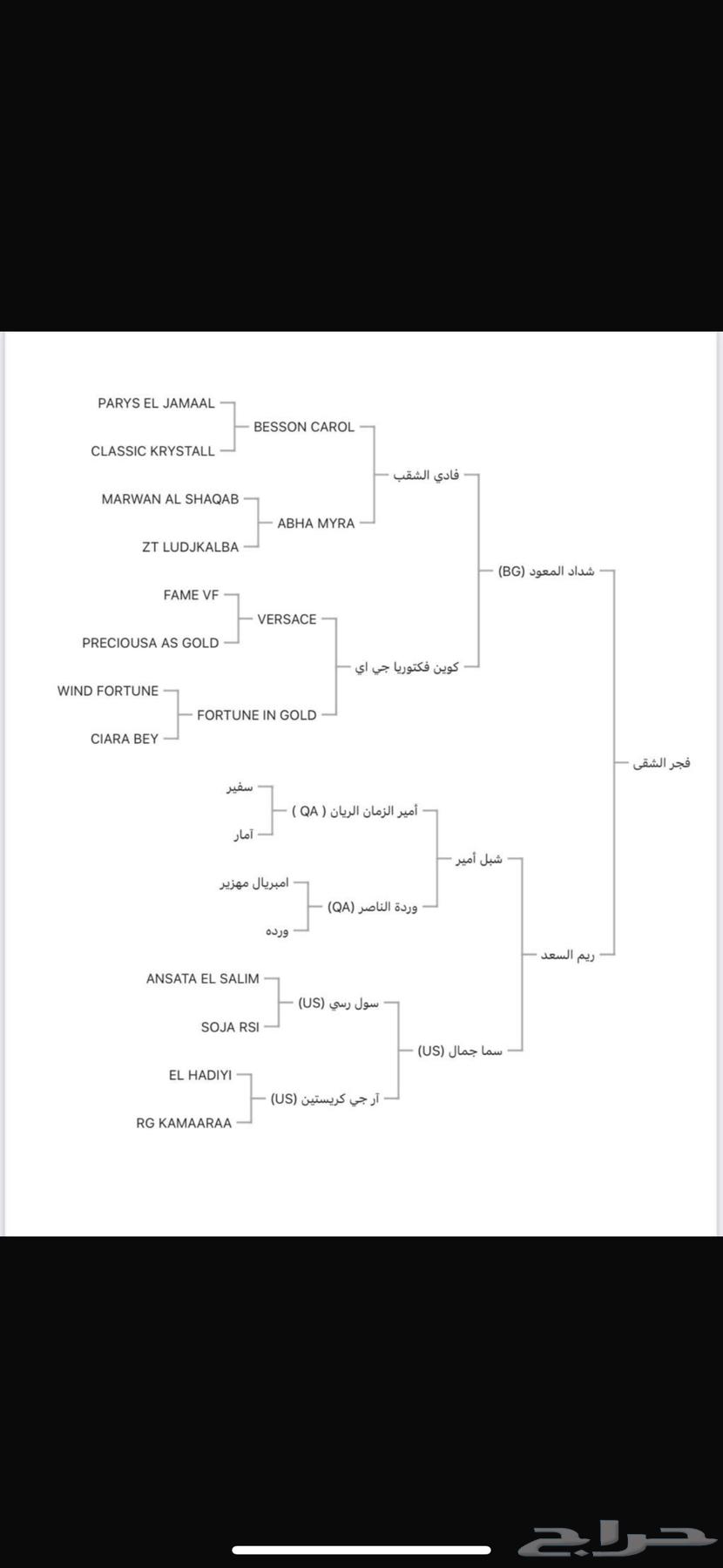 فرس واهو مكس جمال فاخرة63066792461570112