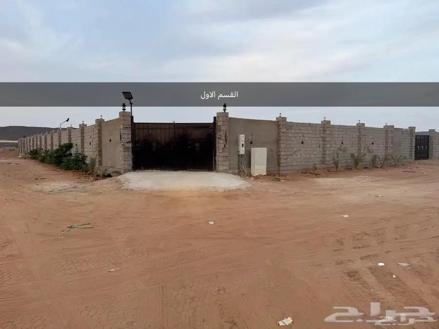 استراحة بالغولاء مساحة 2500م للبيع او للايجار63013822507777112